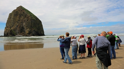 A group of people with binoculars look toward a large offshore rock from a sandy beach