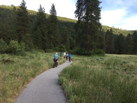 Visitors ride bikes through a meadow near tall pine trees on one of the hatchery's paved nature trails