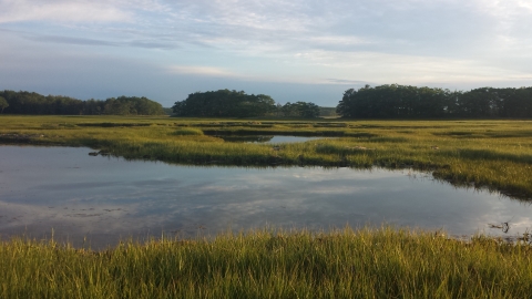  A salt marsh panorama at Rachel Carson National Wildlife Refuge 