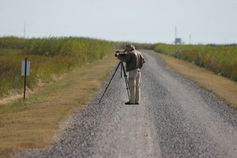 Sabine Bird Watcher