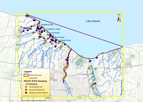 Rochester Embayment AOC NYFO Sampling Sites
