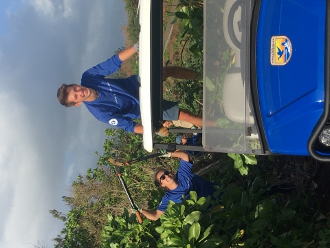 Young adults outplanting native Hawaiian plants during a volunteer event