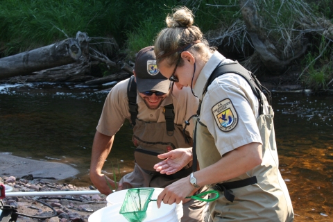 Two smiling US Fish and Wildlife fishery biologists in waders examine caught fish in a bucket on a creek bank