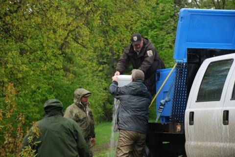 A USFWS employee hands of a white cube containing thousands of Atlantic salmon fry to Maine Department of Marine Resources employees