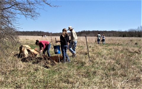 Group planting small trees in open field at Muscatatuck NWR
