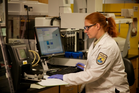 Service Employee Working