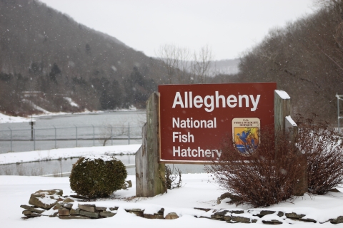 Allegheny NFH Entrance Sign