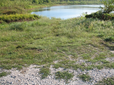 Photo of lake created on the floodplain of the Missouri River by scouring actions during a flood.