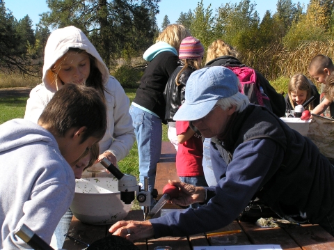 Volunteer helping students identify the aquatic invertebrates they just scooped up from Turnbull's Headquarters Wetland.