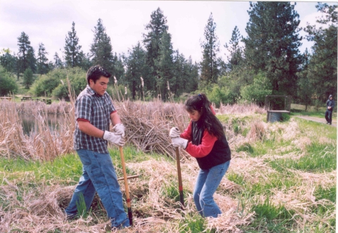 Young volunteers planting native aspen trees during a community planting event at Turnbull National Wildlife Refuge.