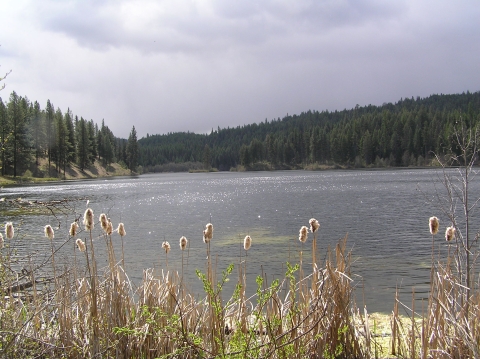 View of lake from shoreline at Little Pend Oreille National Wildlife Refuge.