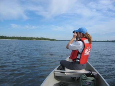 A Service employee in a canoe out on a lake