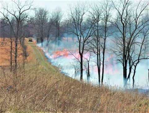 Grassland and savanna burns by road near fire truck at Big Oaks NWR