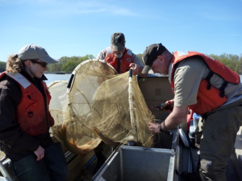 Biologists sampling in a boat on a lake