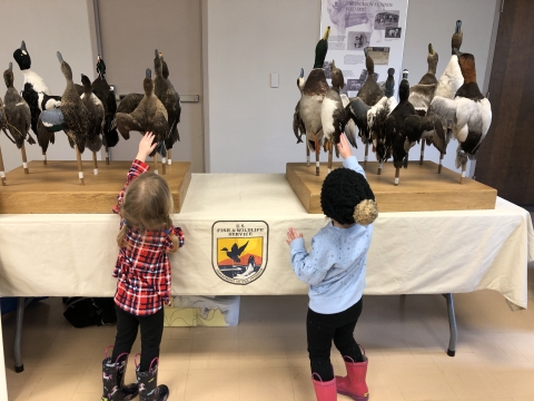 Two young participants engage with 'ducks on a stick' environmental education display
