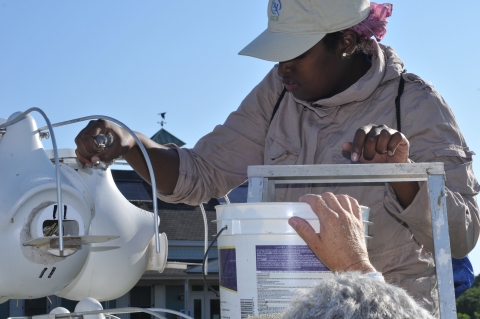 CDIP intern monitoring fish research equipment