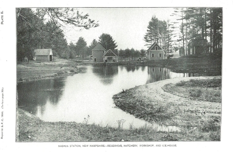 Photo of Nashua NFH from an 1899 report prior to raceway construction