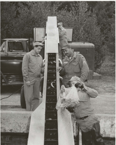 Loading a stocking at Nashua NFH with a conveyor