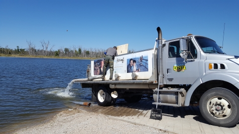 Iowa Department of Natural Resources stocking fish into lake using truck with tanker on back