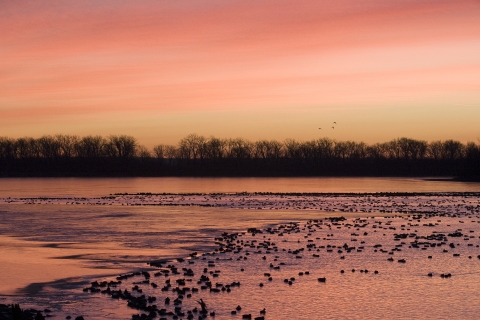 Vibrant red/orange sunset over partially frozen lake with waterfowl floating in open water
