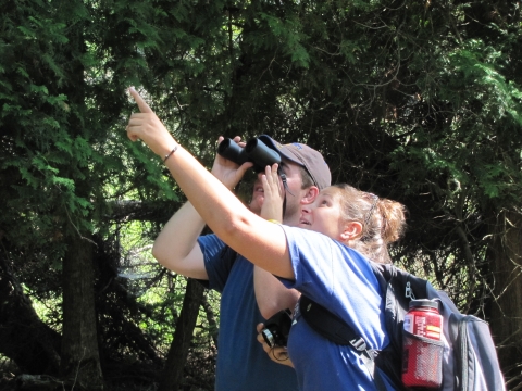 Birding at Harbor Island National Wildlife Refuge.