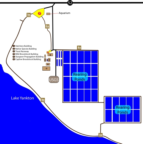 A wide view illustrated map of the hatchery