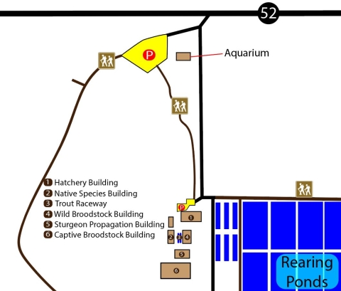 an illustrated map of the hatchery facility