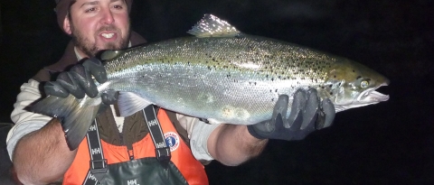 LCFWCO - Salmon Smith