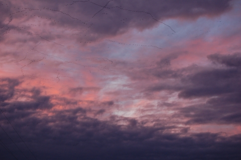 A dusk sky with pinks and blues