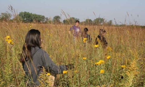 A volunteer group collecting seeds from a prairie area. 