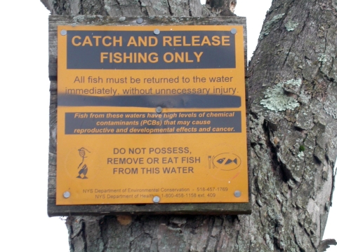 Sign posted on a tree stating catch and release fishing only Do not possess, remove, or eat fish from this water
