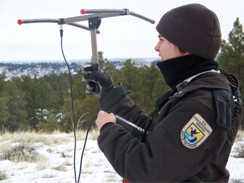 A biologist wearing a brown, cold-weather uniform holds an antenna to track proximity to an animal