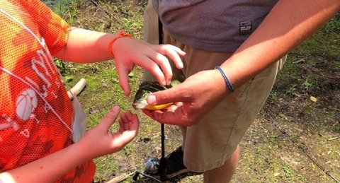 A person hands a small orange fish to a child on a stream bank