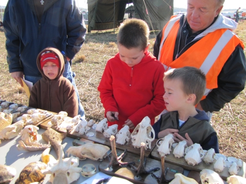 A group of adults and children surround a table of animal skulls