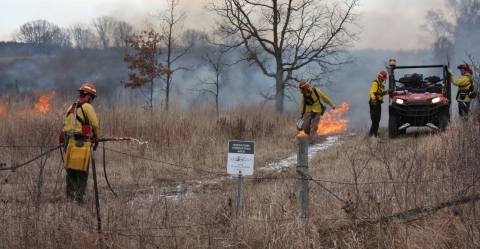 Workers in fire protective clothing walk along a dry grassy lane with small fire torches. Smoke billows and a small vehicle are in the background. 