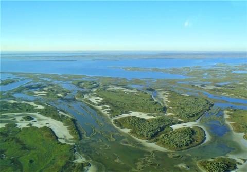 a coastal wetland in texas