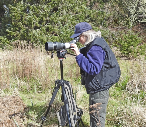 A woman in a volunteer uniform looks through a spotting scope with a background of tall grass and trees