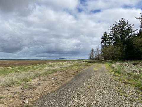 A gravel trail extends along a bay with a distant island and trees in the background.