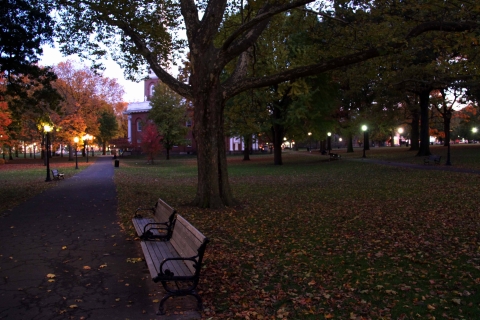 Dusk in a park area with two benches in the foreground and street lights in the background
