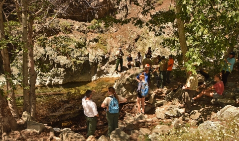A large group of people stand on the bank of a creek