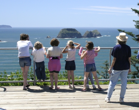 A group of young children on an observation deck view a group of grassy coastal islands in the distance