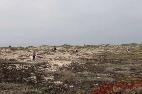 several people walking in sand dunes holding trash bags