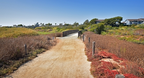 Dirt path lined with brown bushes and green hills in background
