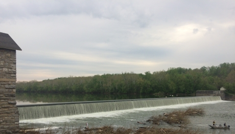 Dam along the Potomac River blocks access for American Eel traveling up river
