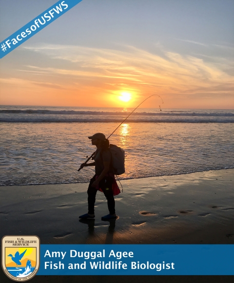 A silhouette pf a person holding a fishing pole standing in front of a beach sunset