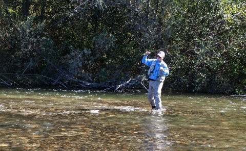 A man standing in a creek pulls back his fishing rod