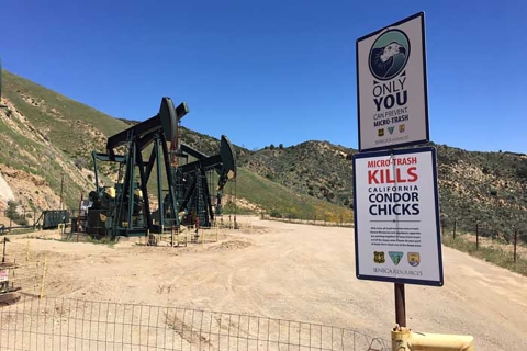 Two large signs with information about California condors