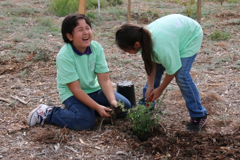Two children laughing while planting small shrubs
