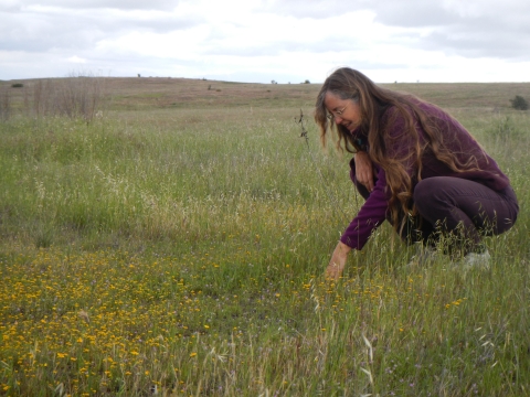 A woman crouching down to observe the wildflowers