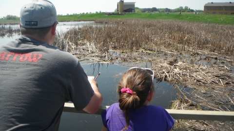 Adult and child on bridge in wetland watch goose on nest